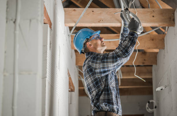 Best Local Electrician Companies  in Royal Palm Estates, FL