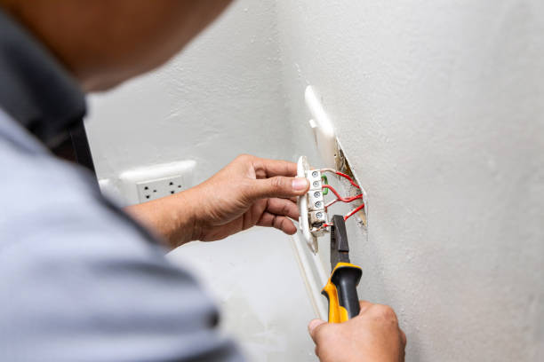 Best Local Electrician Companies  in Royal Palm Estates, FL