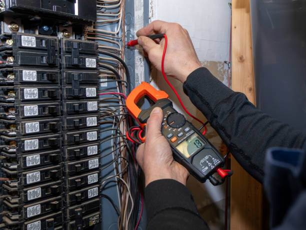 Best Electric Panel Repair  in Royal Palm Estates, FL