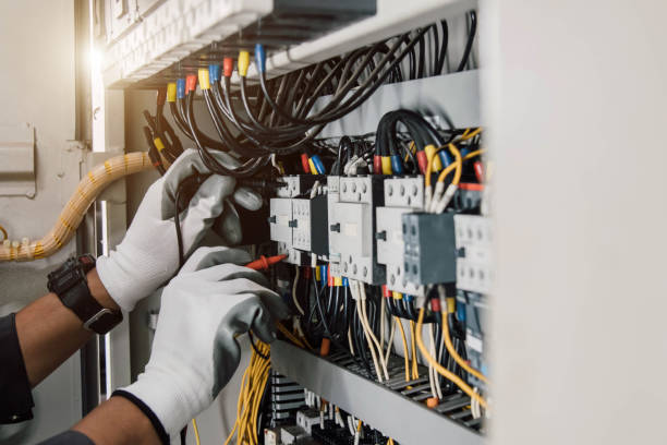 Best Electric Panel Repair  in Royal Palm Estates, FL